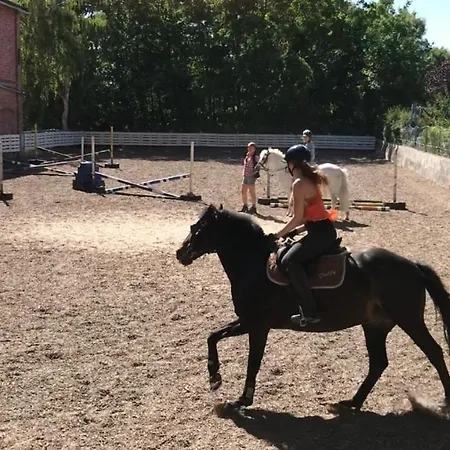 Ferien- & Reiterhof Ogriseck Ferienwohnung Ostkuste *